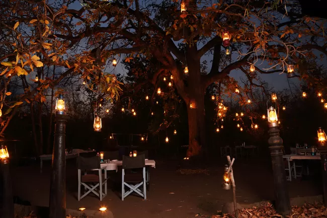 Photo of Mowgli's Trail in Pench National Park by Travel+Leisure India & South Asia