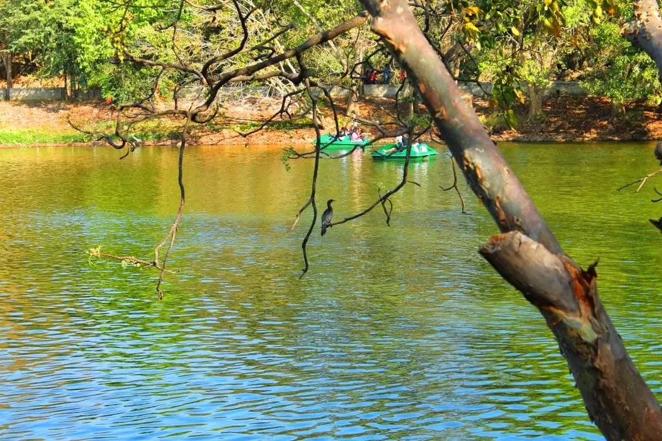 Photo of Bannerghatta National Park - Bangalore - Karnataka - India by Shayaan Ahmad Noori