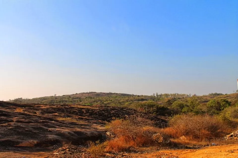 Photo of Bannerghatta National Park - Bangalore - Karnataka - India by Shayaan Ahmad Noori