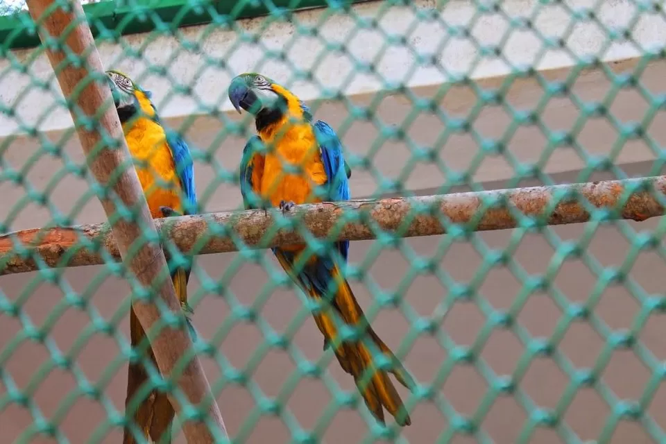 Photo of Bannerghatta National Park - Bangalore - Karnataka - India by Shayaan Ahmad Noori