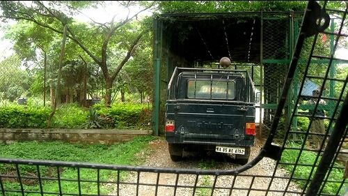 Photo of Road trip to safari – Bannerghatta Biological Park by wee_gypsy_soul