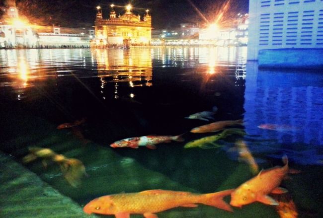 Photo of One Day Trip To Amritsar - Golden Temple by Niraz Nizam