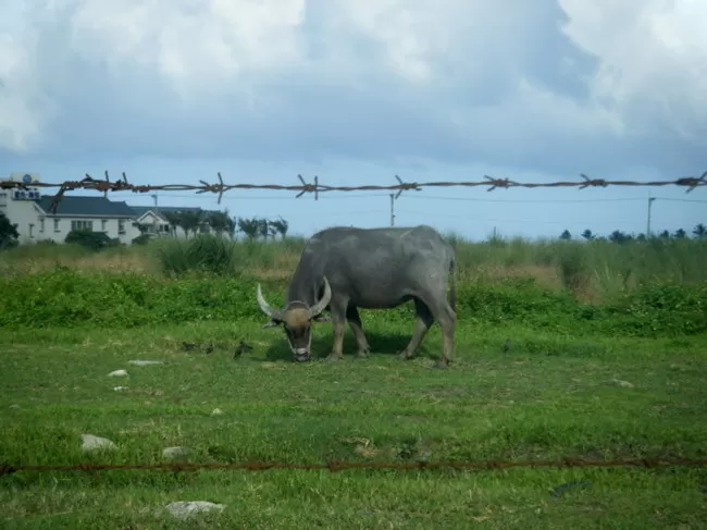 Photo of Hualien, Taiwan by Rhonda Mix