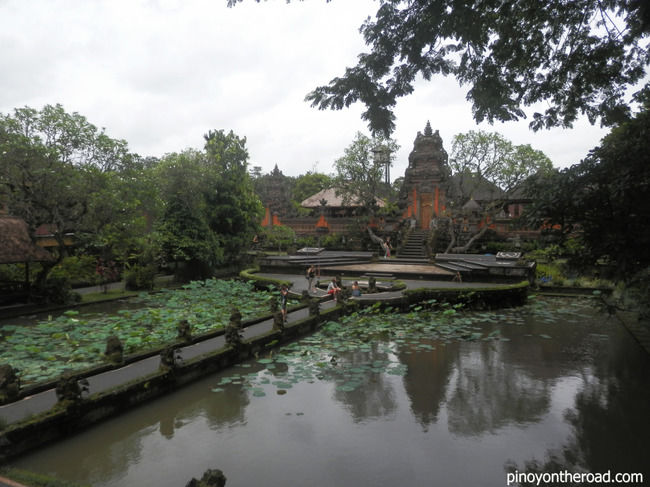 Photo of Ubud, Gianyar, Bali, Indonesia by Nik Rielo