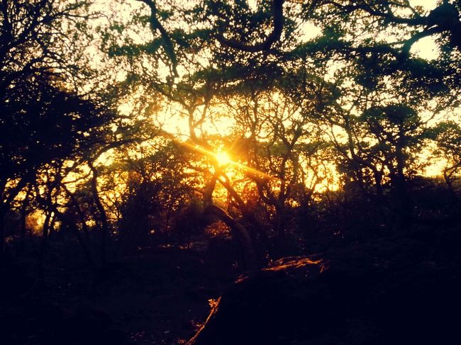 Photo of Mahabaleshwar, Maharashtra by drmadhuradonde