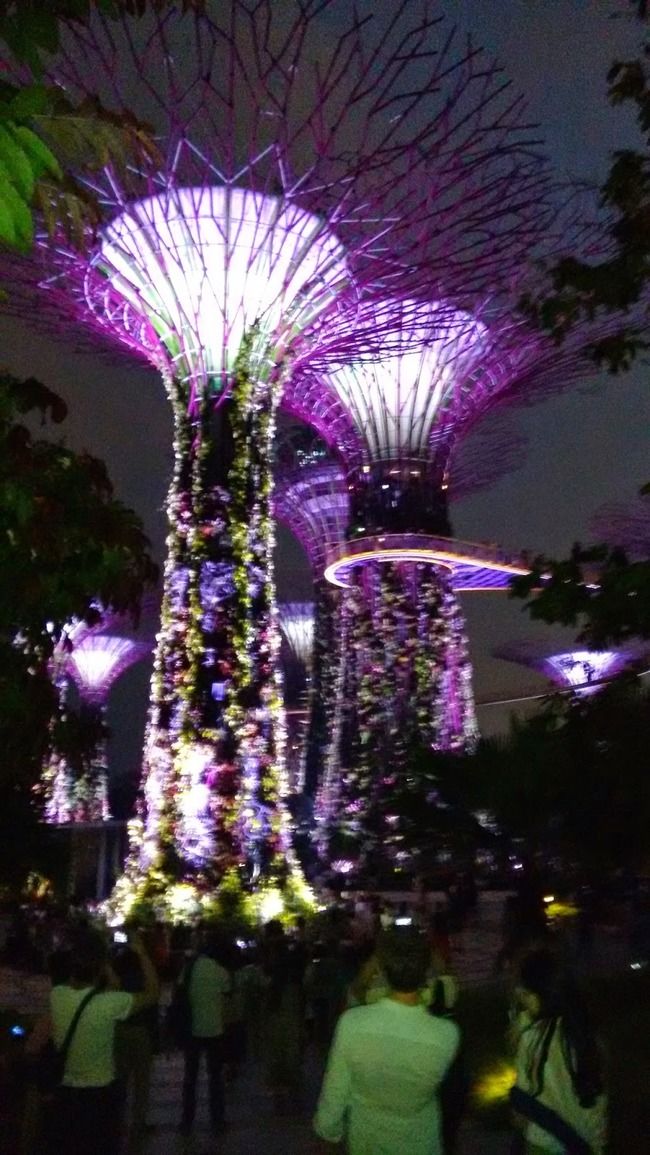 Photo of Gardens by the Bay Singapore by Priyanka Nayak