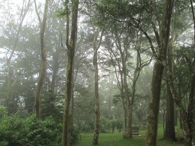 Photo of Nandi Hills, Karnataka, India by Bhaskar N H