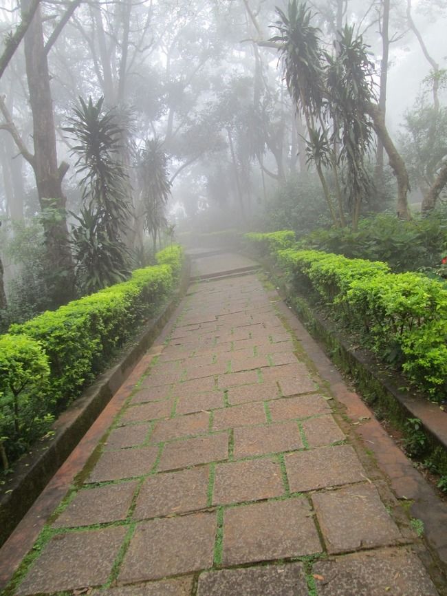Photo of Nandi Hills, Karnataka, India by Bhaskar N H