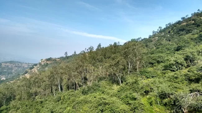 Photo of Nandi Hills, Karnataka, India by Kushendra Tiwary