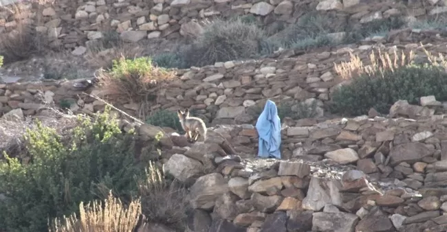 Photo of Rohtang Pass, Himachal Pradesh, India by S S (Saurabh Sabikhi)