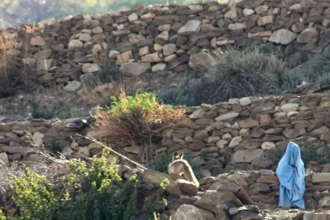 Photo of Rohtang Pass, Himachal Pradesh, India by S S (Saurabh Sabikhi)