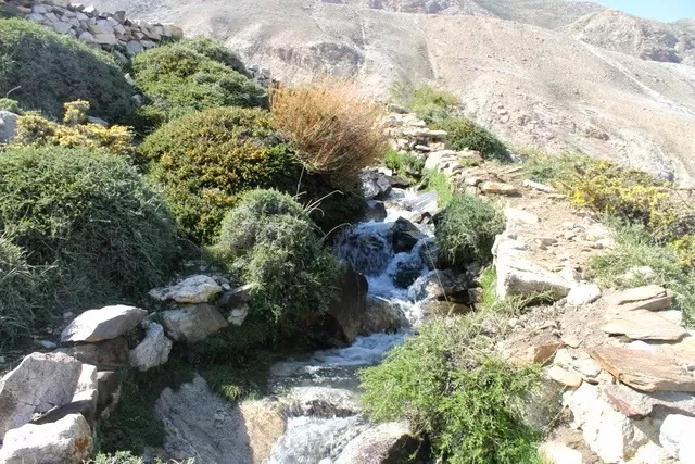 Photo of Rohtang Pass, Himachal Pradesh, India by S S (Saurabh Sabikhi)