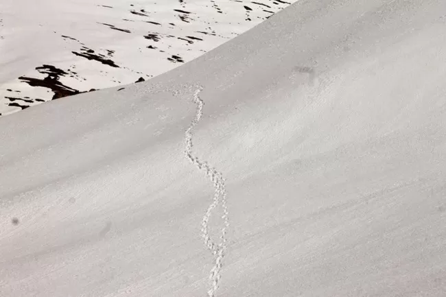 Photo of Rohtang Pass, Himachal Pradesh, India by S S (Saurabh Sabikhi)