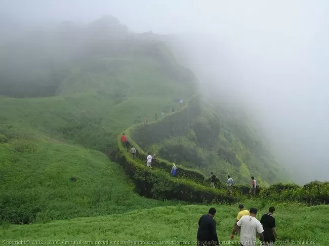 Photo of Torna Fort, Charhat Wadi, Maharashtra, India by Ridhima Srivastava