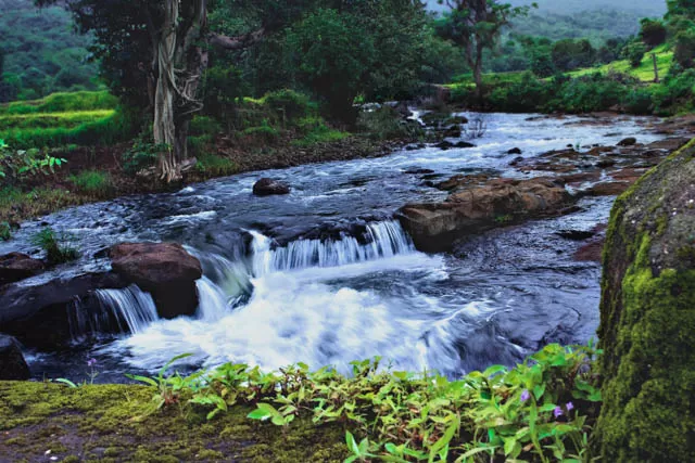 Photo of Tungarli Lake, Gold Valley Sector D, Lonavala, Maharashtra, India by Ridhima Srivastava
