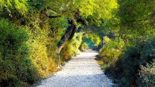 Photo of 17 Unexpectedly Awesome Things To Do In Rajasthan 9/14 by Himani Khatreja