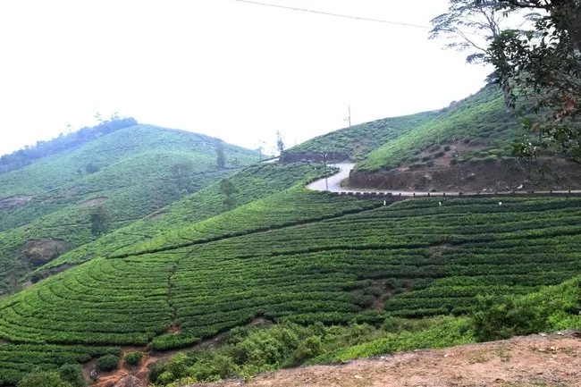 Photo of Kumily, Kerala, India by Rohan Ganesh