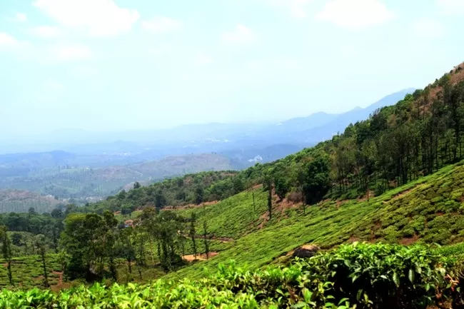Photo of Wayanad, Kerala, India by Rohan Ganesh