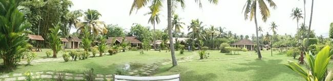 Photo of Kumarakom Bird Sanctuary, Kavanattinkara Saktheeswaram Temple Road, Kavanattinkara, Kumarakom, Kerala, India by Novita Arora
