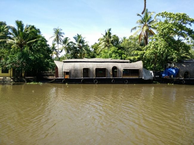Photo of Kumarakom Bird Sanctuary, Kavanattinkara Saktheeswaram Temple Road, Kavanattinkara, Kumarakom, Kerala, India by Novita Arora