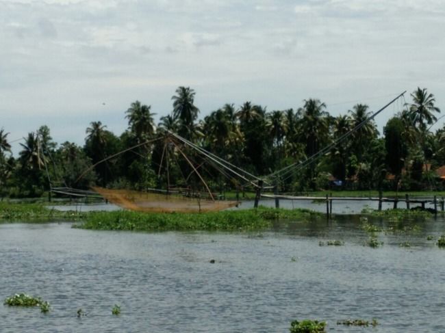 Photo of Kumarakom Bird Sanctuary, Kavanattinkara Saktheeswaram Temple Road, Kavanattinkara, Kumarakom, Kerala, India by Novita Arora
