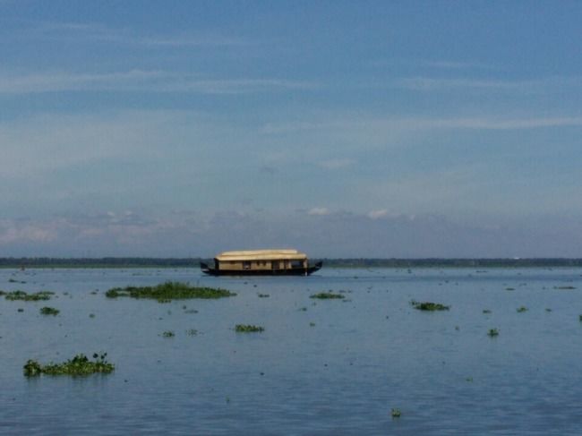 Photo of Kumarakom Bird Sanctuary, Kavanattinkara Saktheeswaram Temple Road, Kavanattinkara, Kumarakom, Kerala, India by Novita Arora