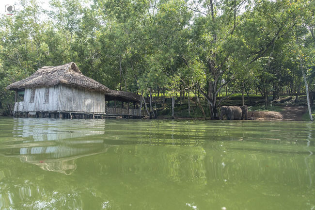 Photo of Neyyar Wildlife Sanctuary, Mayam, Vazhichal, Kerala, India by Salim Islam