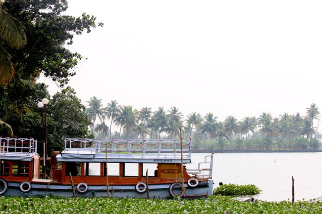 Photo of Kumarakom Bird Sanctuary, Kavanattinkara Saktheeswaram Temple Road, Kavanattinkara, Kumarakom, Kerala, India by Riyanka Roy