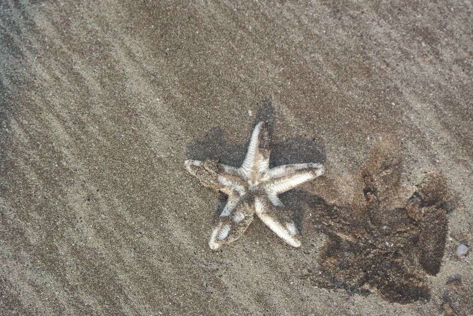 Photo of Thousands stars on the sand - Diveagar by Abhimanyu - @yatripandit