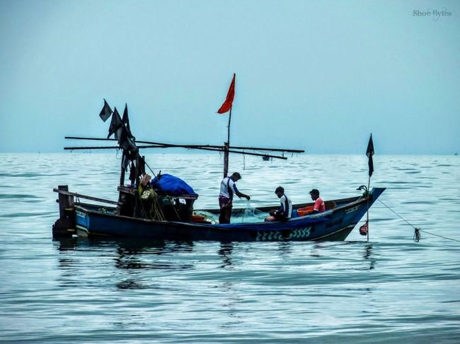 Photo of Diveagar Beach, Raigad, Maharashtra, India by Devashish Patel