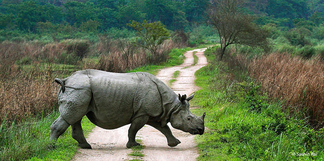 Photo of Majuli Island, Goalabari No.1, Assam, India by Tripoto