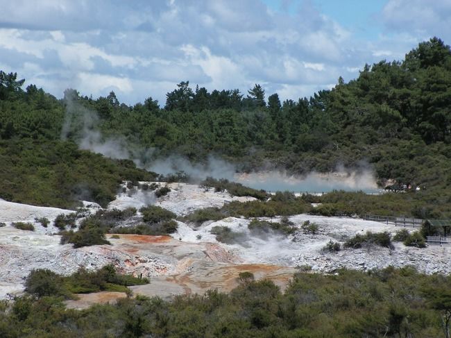 Photo of Te Puia, Rotorua, Bay Of Plenty, New Zealand by Tripoto