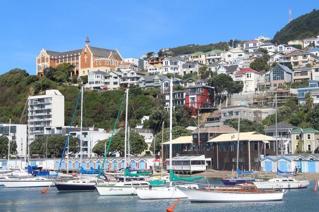 Photo of Wellington, New Zealand by Tripoto