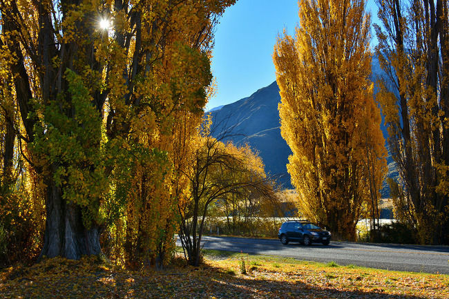 Photo of A Guide To The Best New Zealand Holiday Ever: 13 Days And 12 Nights In Heaven by Tripoto