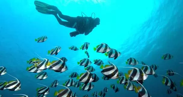 Photo of Netrani Island, Karnataka, India by Gunjan Upreti