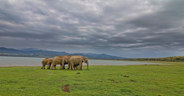 Photo of Pick These 7 Better And Cheaper Alternatives To Popular Indian Destinations by Gunjan Upreti