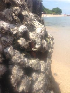 Photo of Bangalore and Malpe beach by Bronwyn Joy