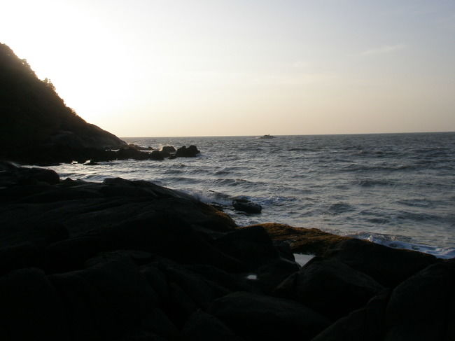 Photo of Anshi National Park & Kali Tiger Reserve, Uttara Kannada, Karnataka, India by Kirat S