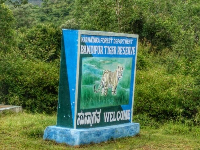 Photo of Bandipur National Park, Bandipur, Karnataka, India by Vivek S
