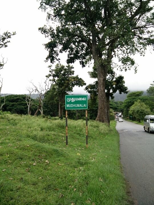 Photo of Mudumalai National Park, Mudumalai, Tamil Nadu, India by Vivek S