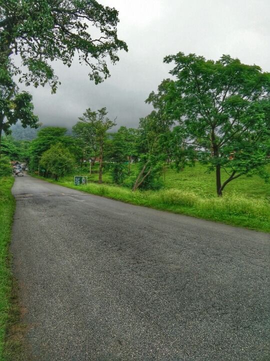 Photo of Mudumalai National Park, Mudumalai, Tamil Nadu, India by Vivek S