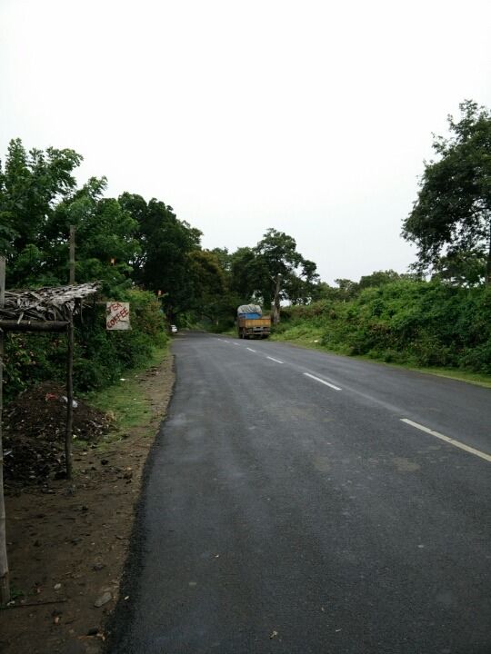 Photo of Mudumalai National Park, Mudumalai, Tamil Nadu, India by Vivek S
