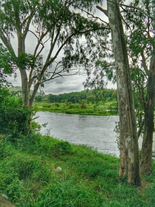 Photo of First solo bike trip to Ooty by Vivek S