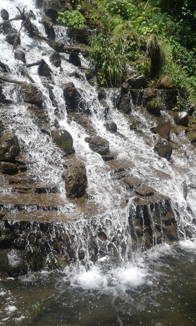 Photo of Queen of the Hills: Mussorie by Damini Aggarwal