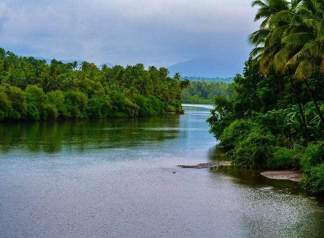 Photo of The Goa Diary by Sayantan Roy Chowdhury