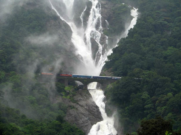 Photo of Bhagwan Mahaveer Sanctuary and Mollem National Park, Goa, India by Sachin Verma