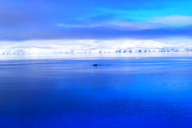 Photo of Neko Harbor by Aneil Thakkar