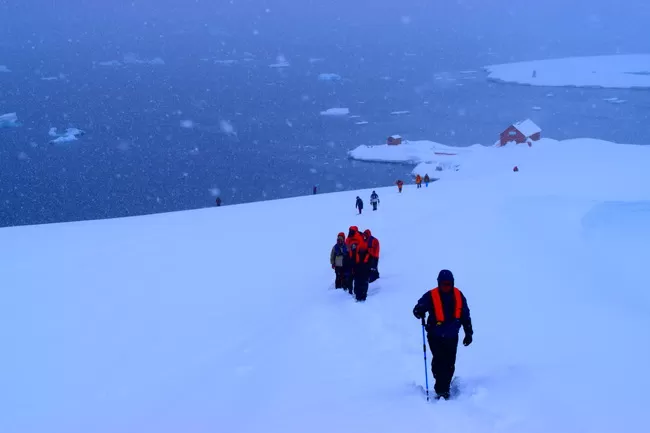 Photo of Antarctica by Aneil Thakkar
