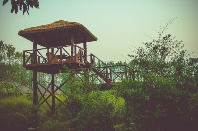 Photo of For The Couple That Loves The 'Wild' Life, This Lodge Is Ideal For Your Valentines Celebration by Sreshti Verma