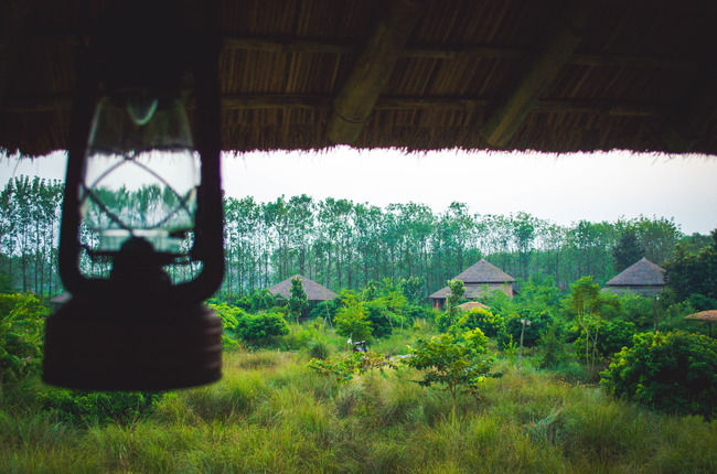 Photo of For The Couple That Loves The 'Wild' Life, This Lodge Is Ideal For Your Valentines Celebration by Sreshti Verma